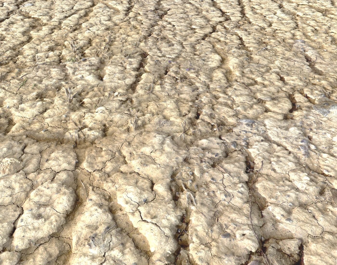 Wasteland ground texture PBR Pack 1 Texture_16