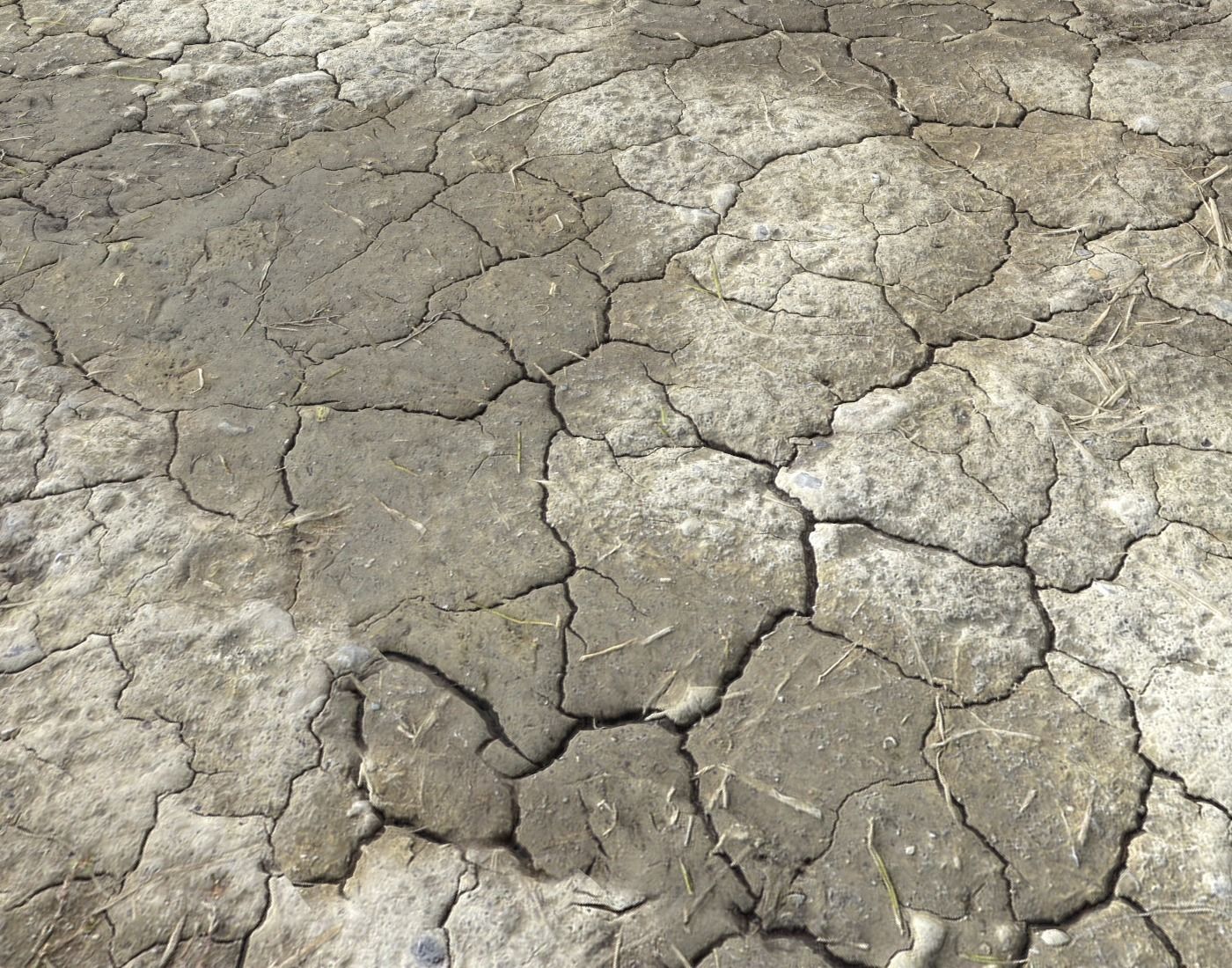 Wasteland ground texture PBR Pack 1 Texture_8
