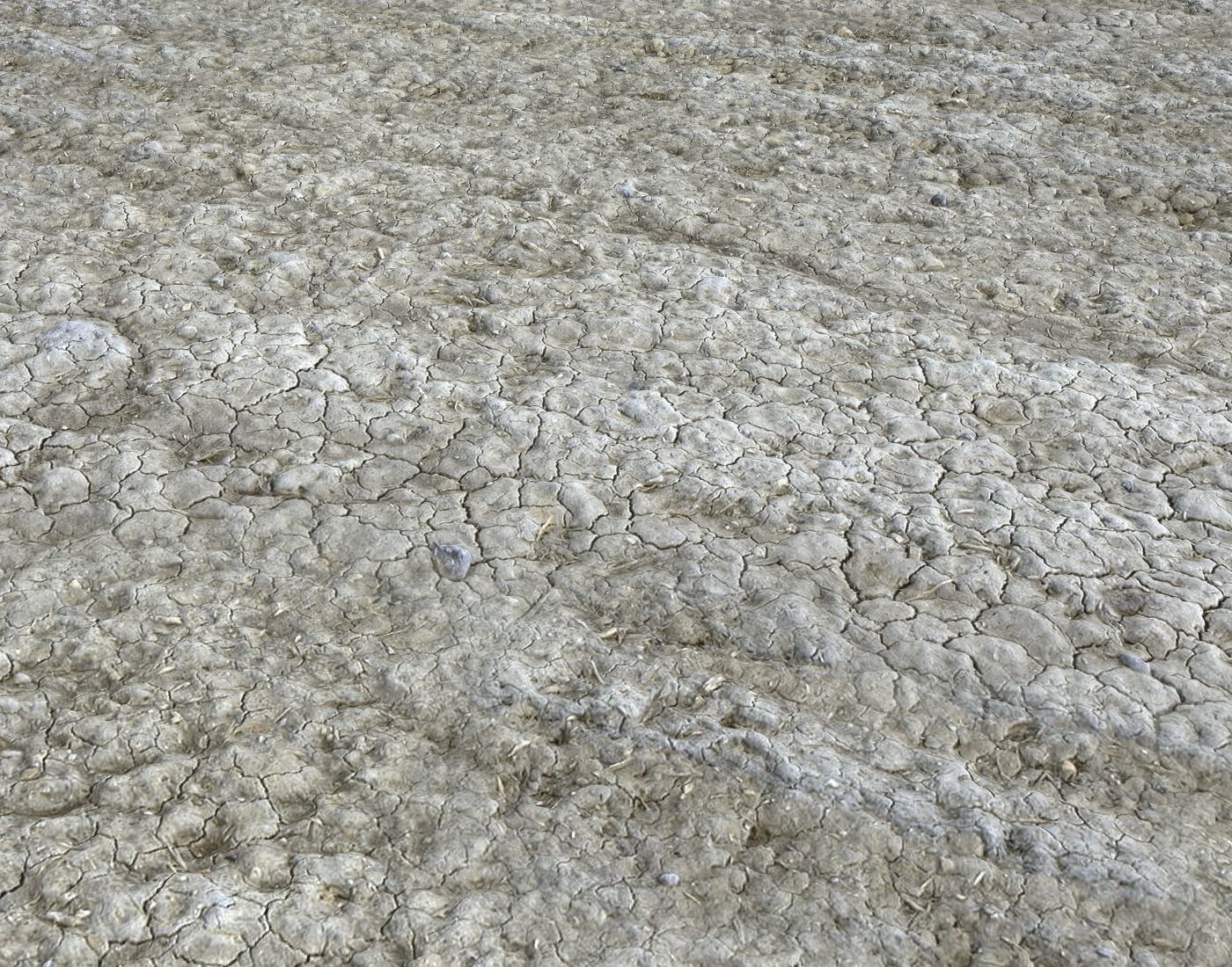 Wasteland ground texture PBR Pack 1 Texture_18