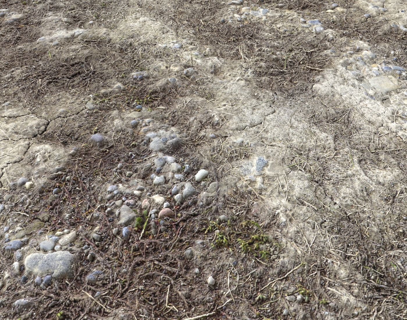 Wasteland ground texture PBR Pack 1 Texture_12