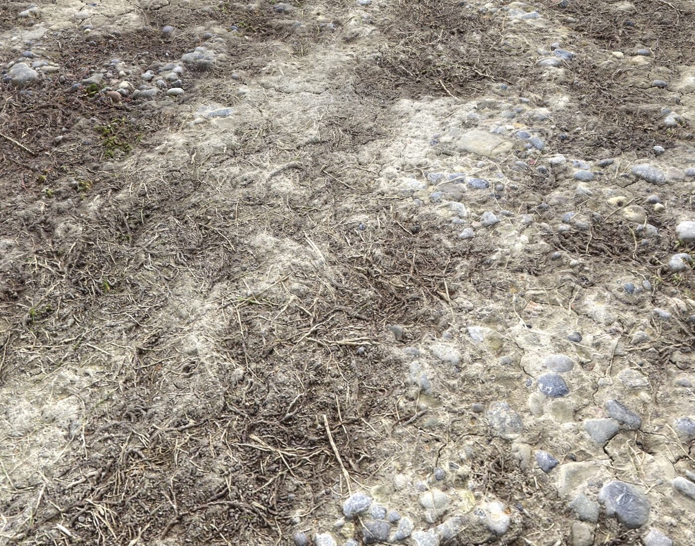 Wasteland ground texture PBR Pack 1 Texture_9