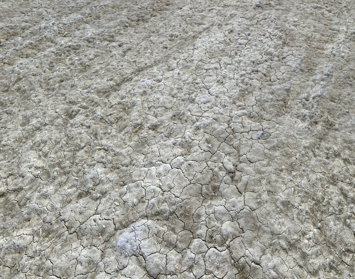 Wasteland ground texture PBR Pack 1 Texture_17