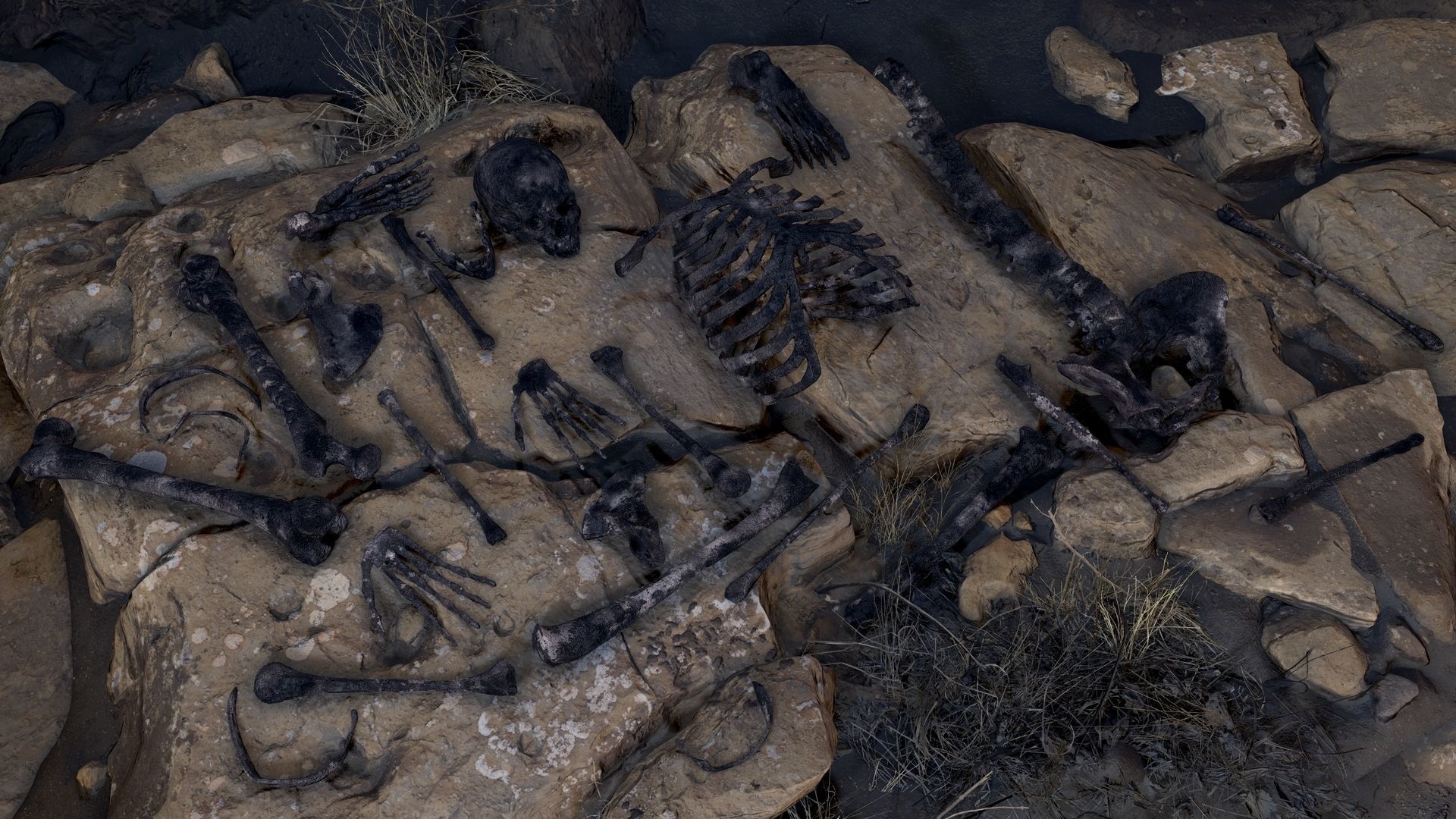 Skeleton 2 human Low-poly 3D model_18