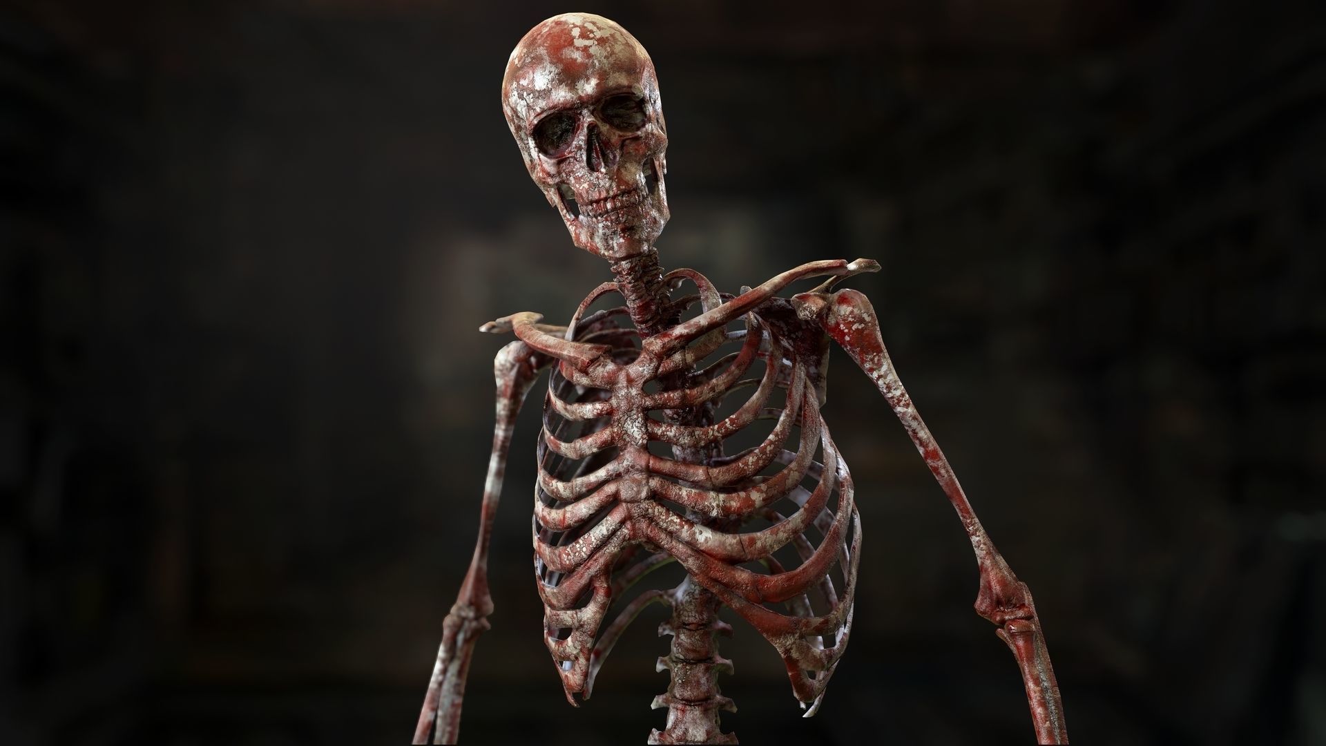 Skeleton 2 human Low-poly 3D model_9