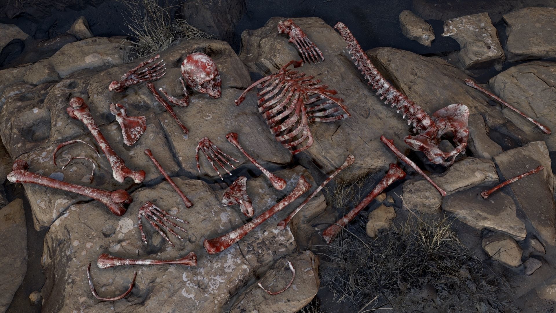 Skeleton 2 human Low-poly 3D model_15