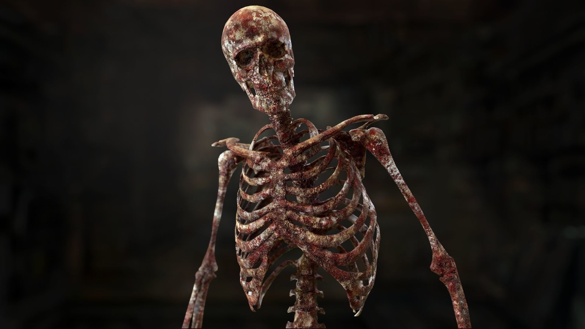 Skeleton 2 human Low-poly 3D model_11