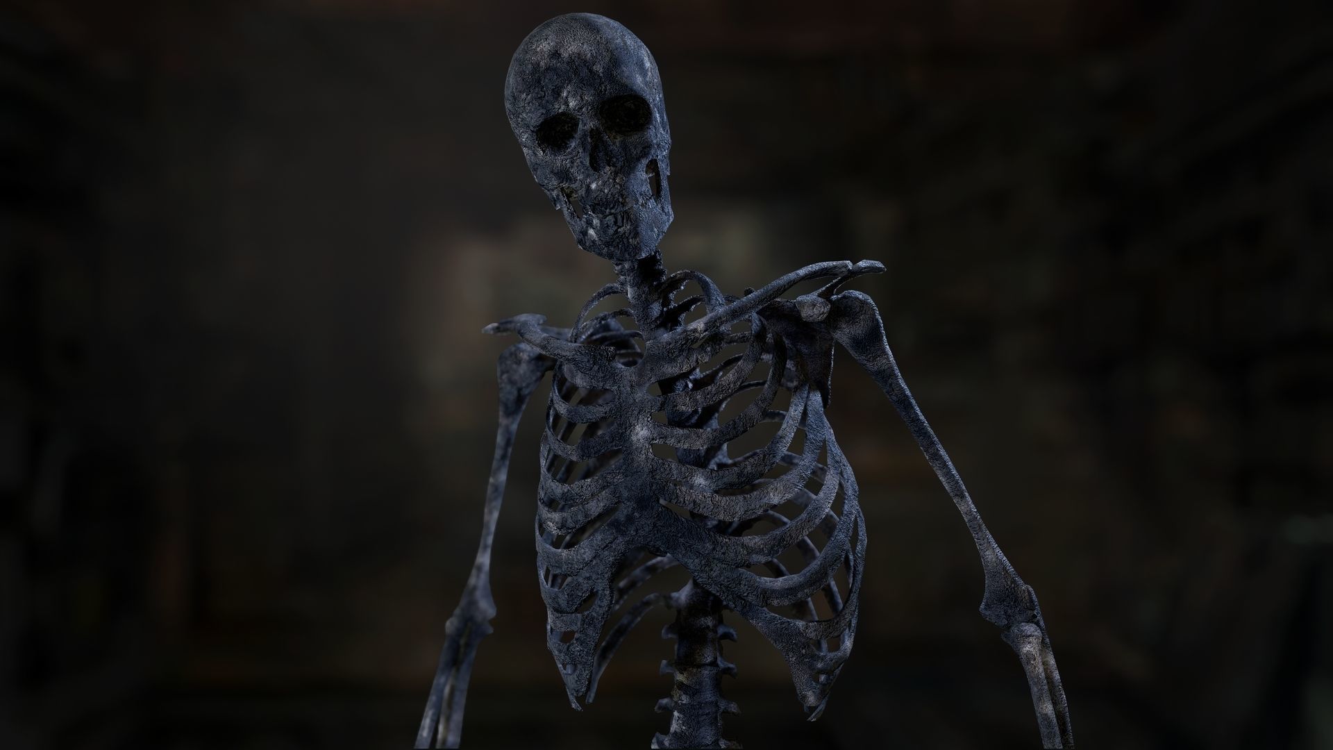 Skeleton 2 human Low-poly 3D model_12