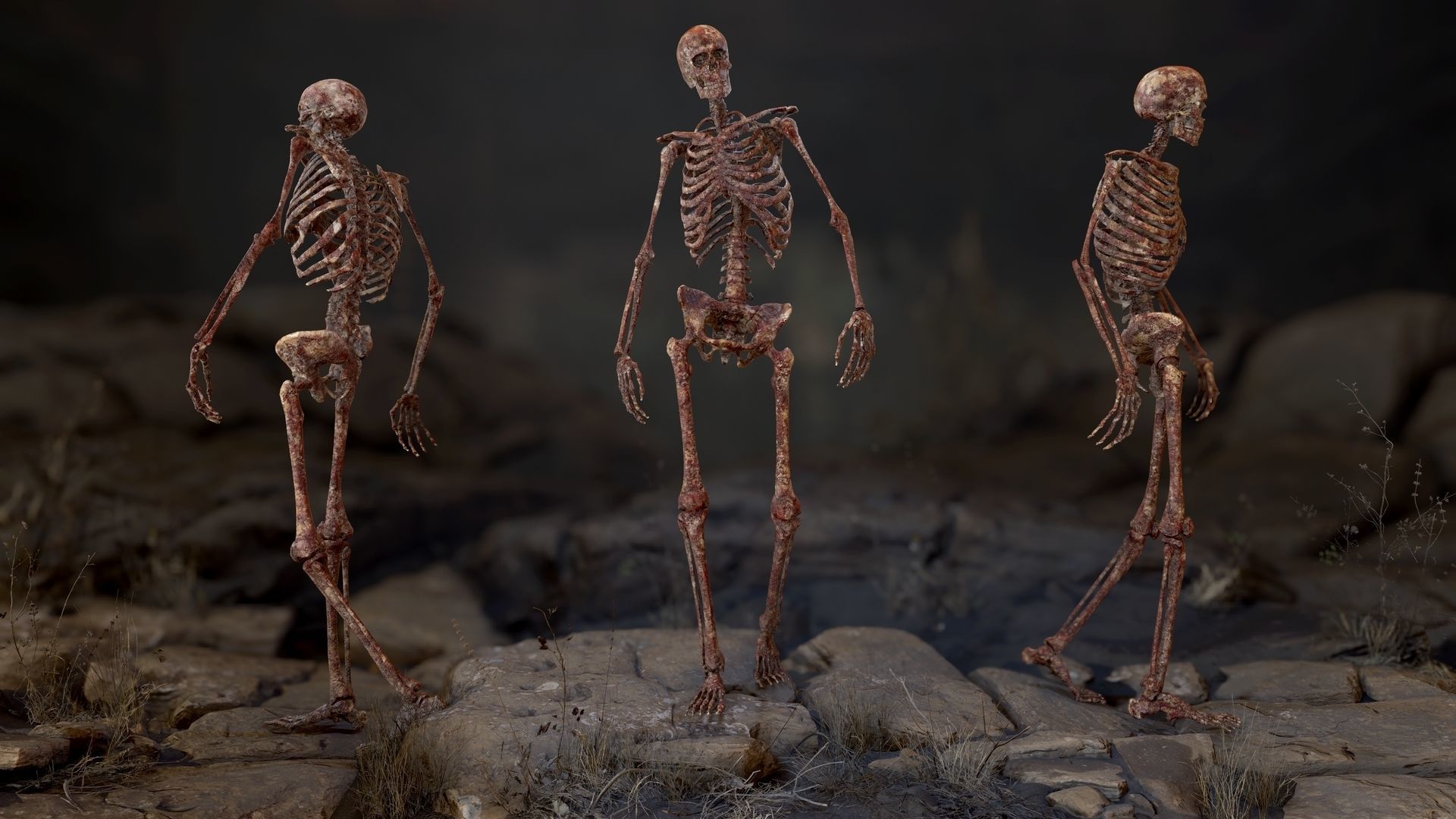Skeleton 2 human Low-poly 3D model_5
