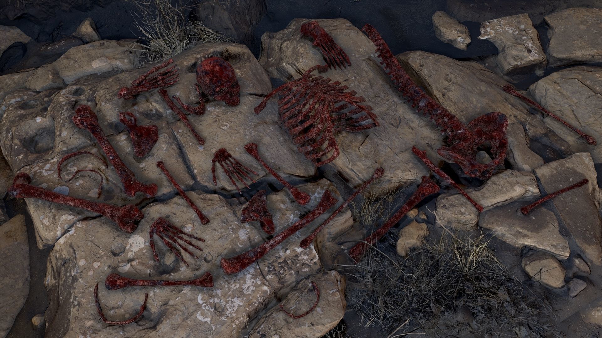 Skeleton 2 human Low-poly 3D model_19