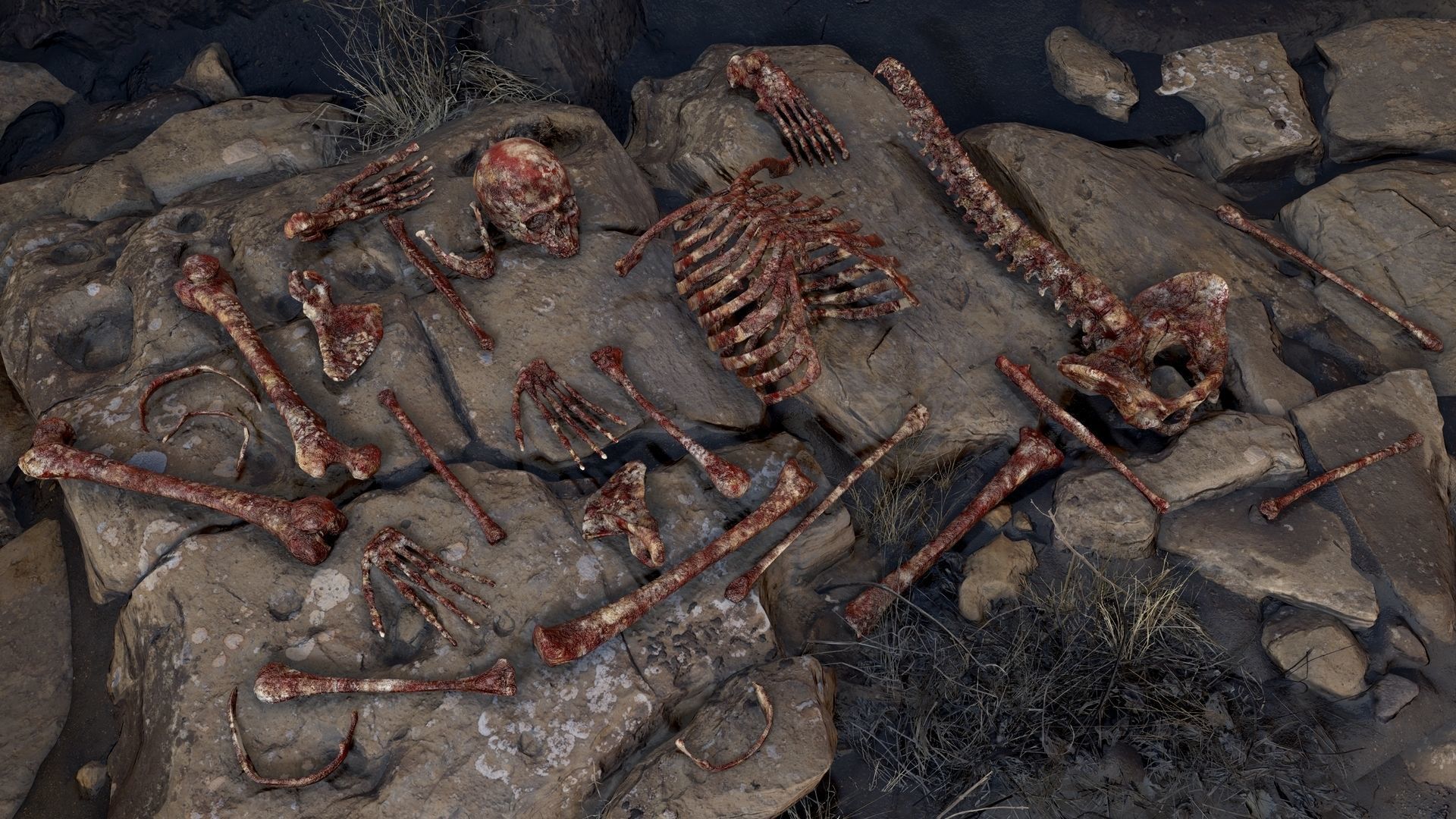 Skeleton 2 human Low-poly 3D model_17