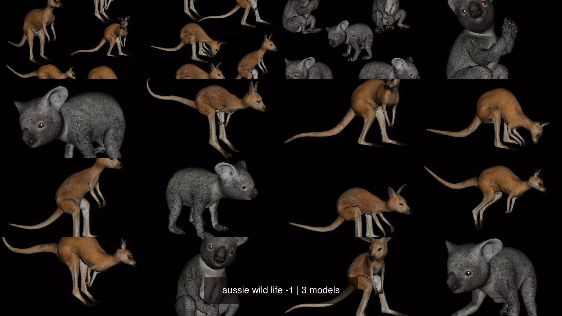aussie wild life -1 3D Model Collection_0