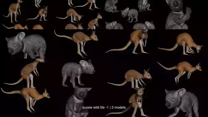 aussie wild life -1 3D Model Collection