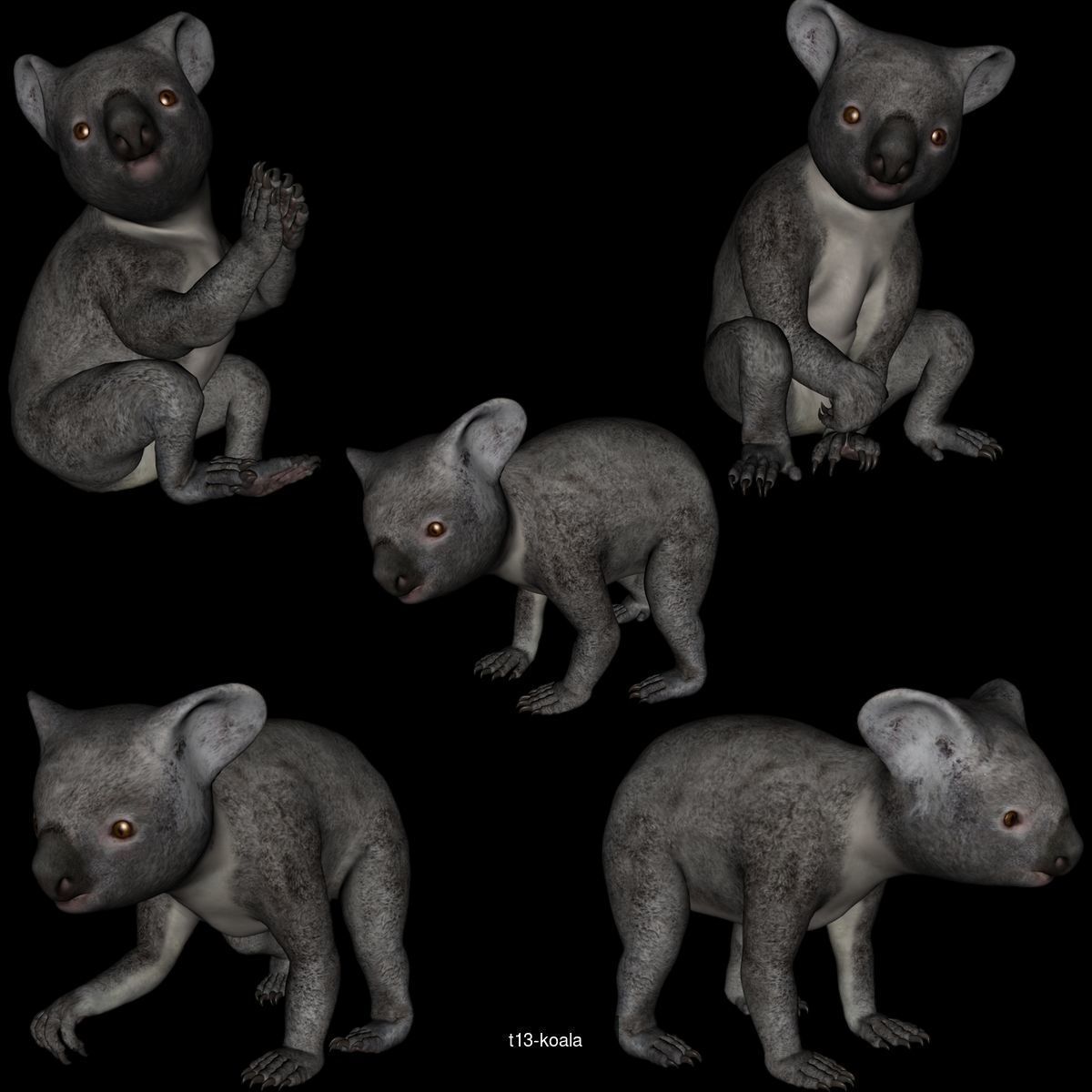 aussie wild life -1 3D Model Collection_3