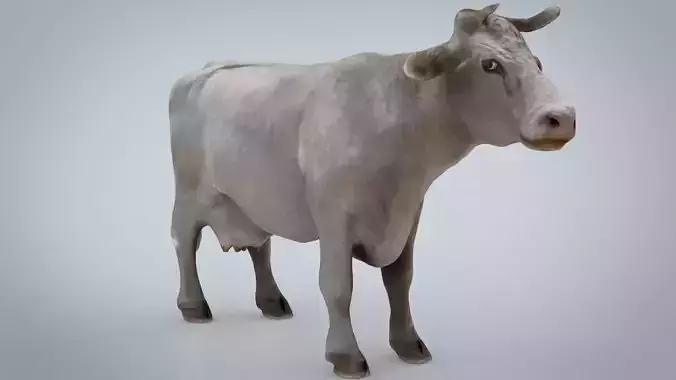 WHITE COW Low-poly 3D model