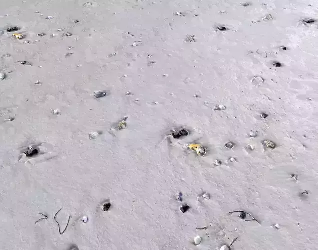 Ground terrain beach PBR pack 1