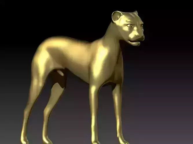 tiger golden dog