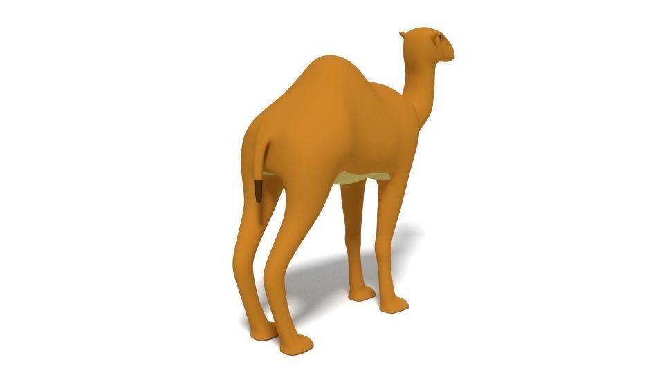 Cartoon Camel 3D model_5