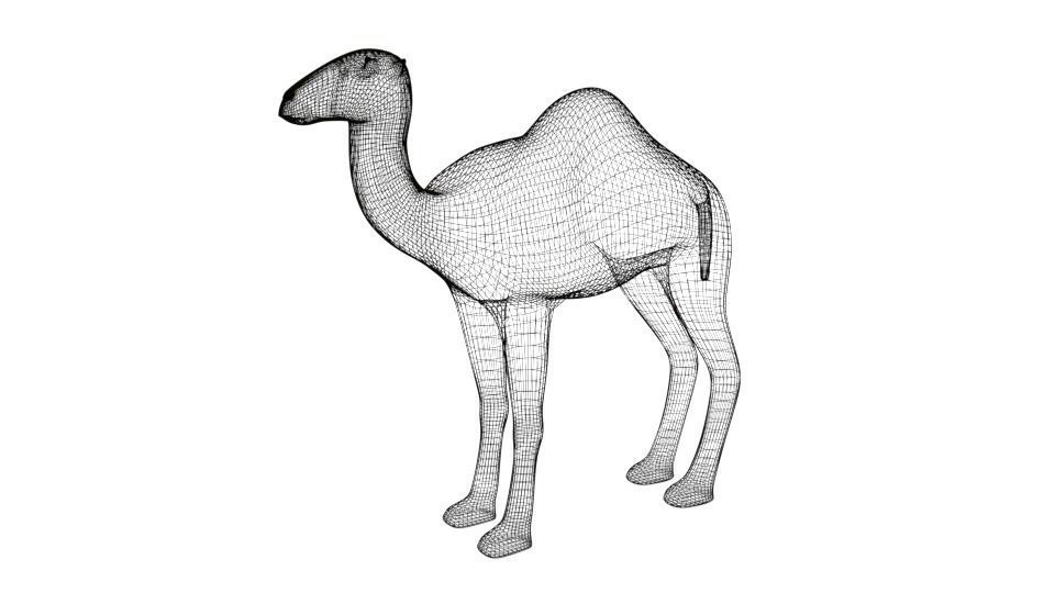 Cartoon Camel 3D model_18
