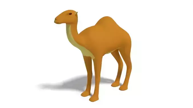 Cartoon Camel