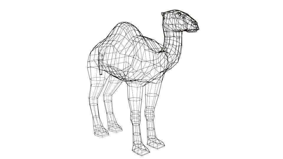 Cartoon Camel 3D model_12