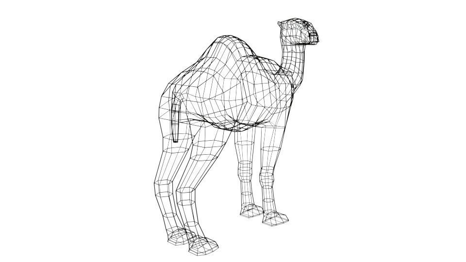 Cartoon Camel 3D model_14