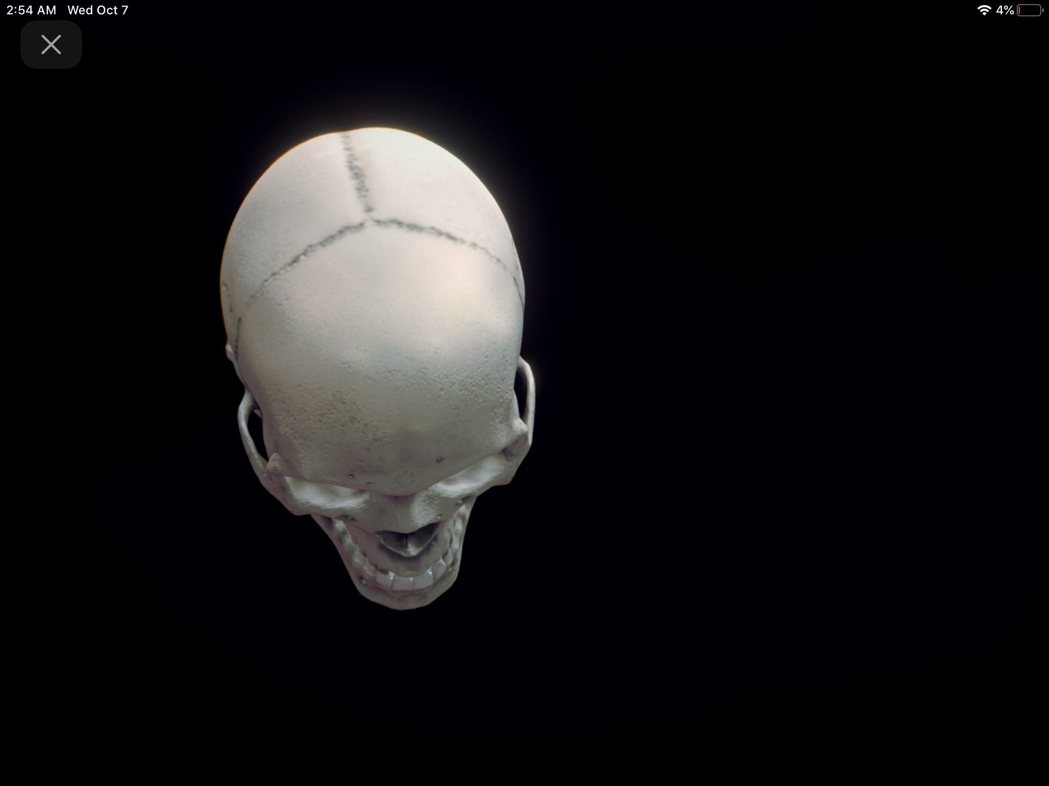 Halloween Skull  3D model_3