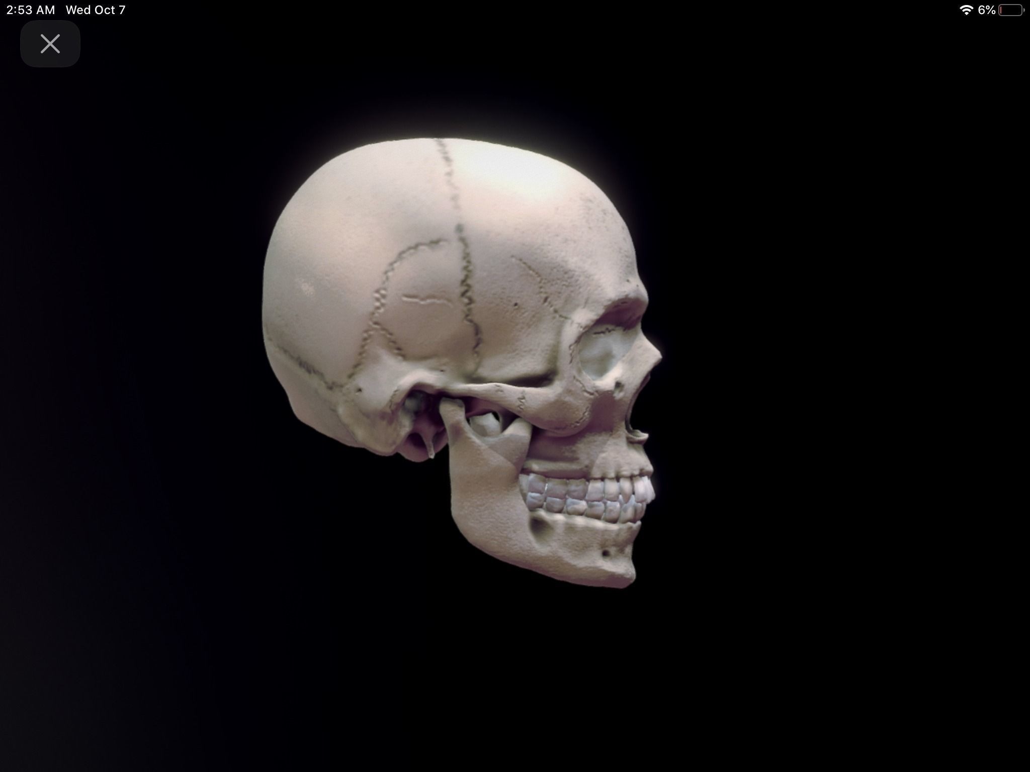 Halloween Skull  3D model_4