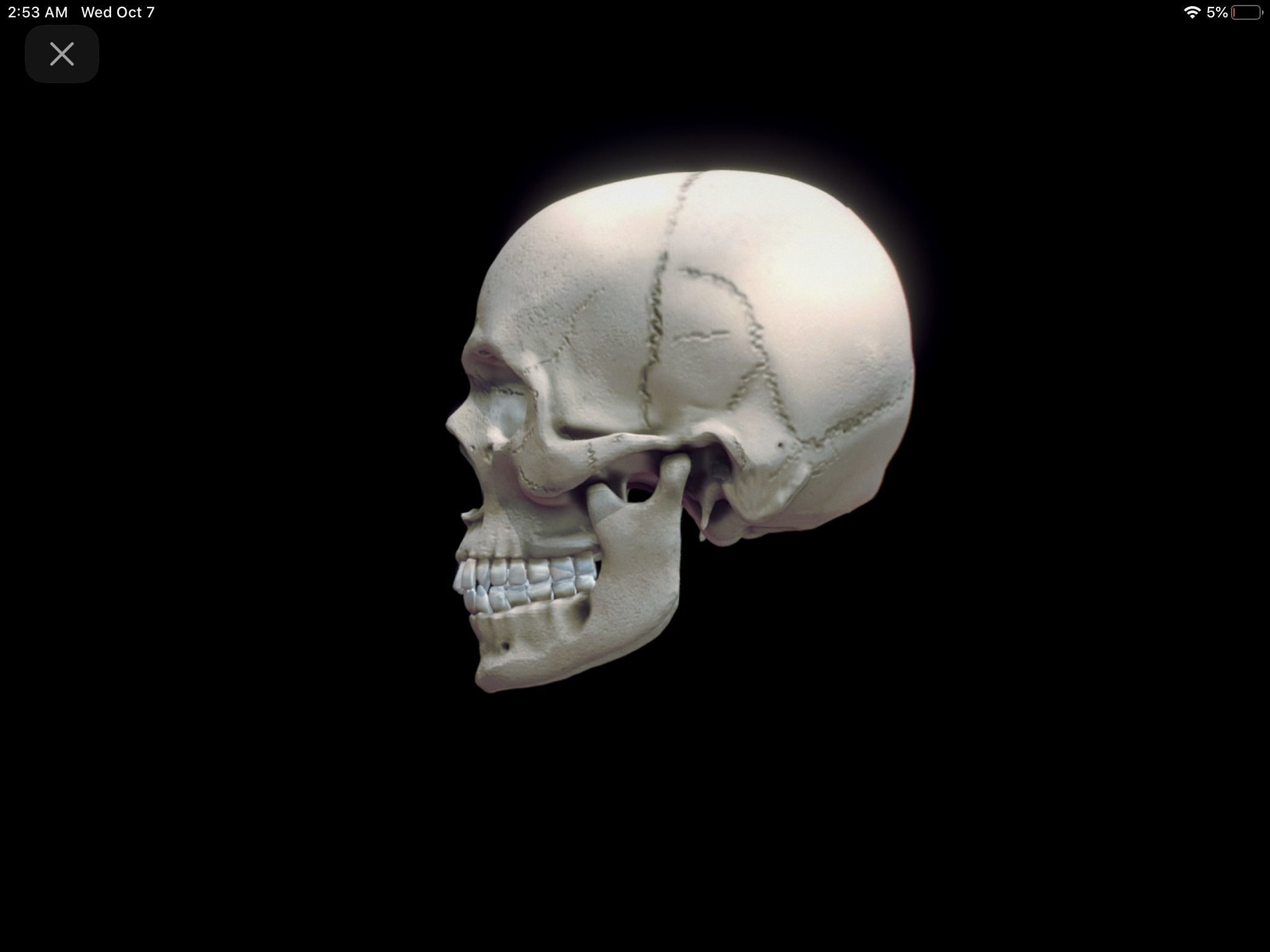Halloween Skull  3D model_1