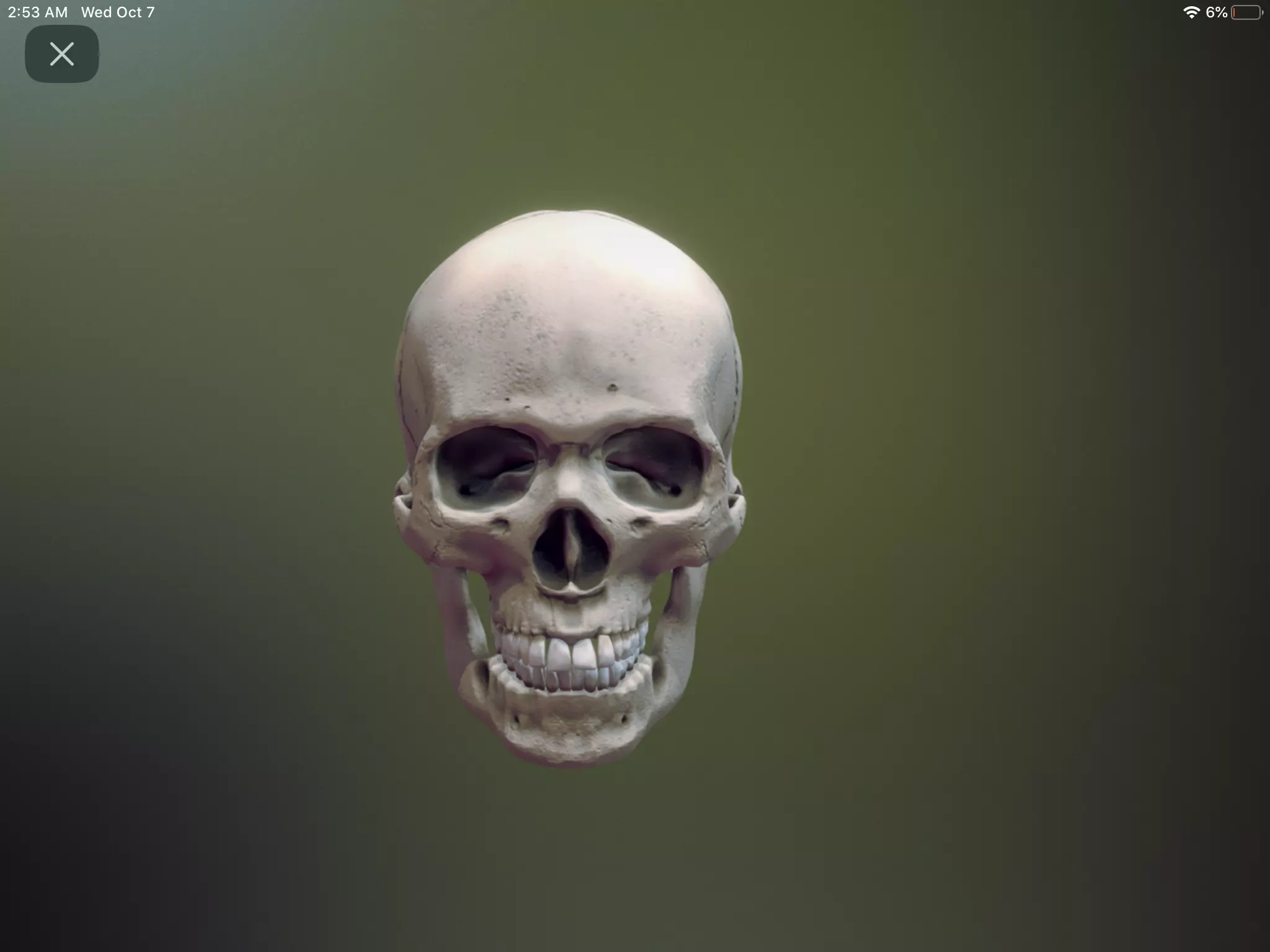 Halloween Skull  3D model_0