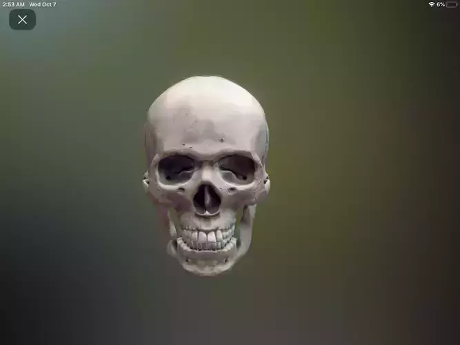Halloween Skull 