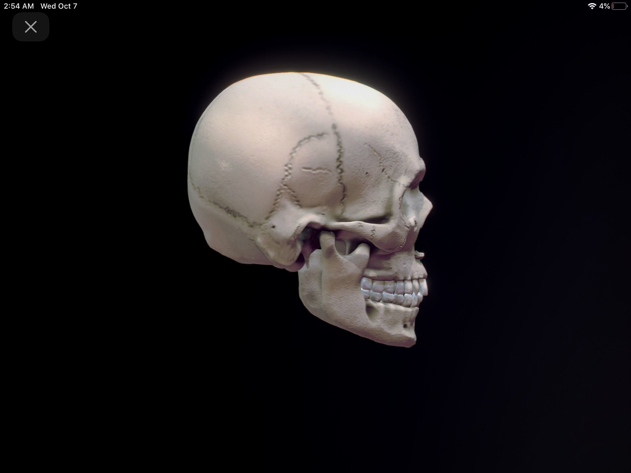 Halloween Skull  3D model_5