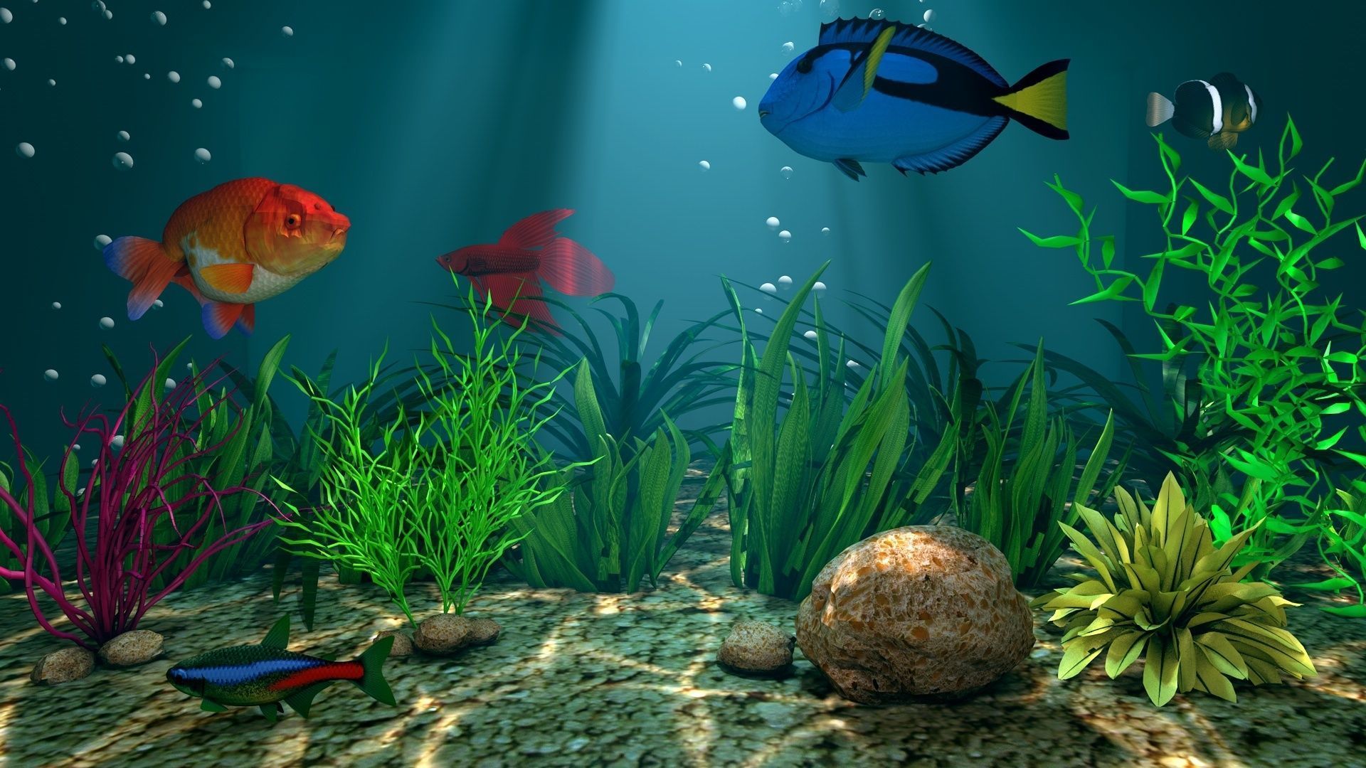 3D Underwater Fish Aquarium 3D model_2