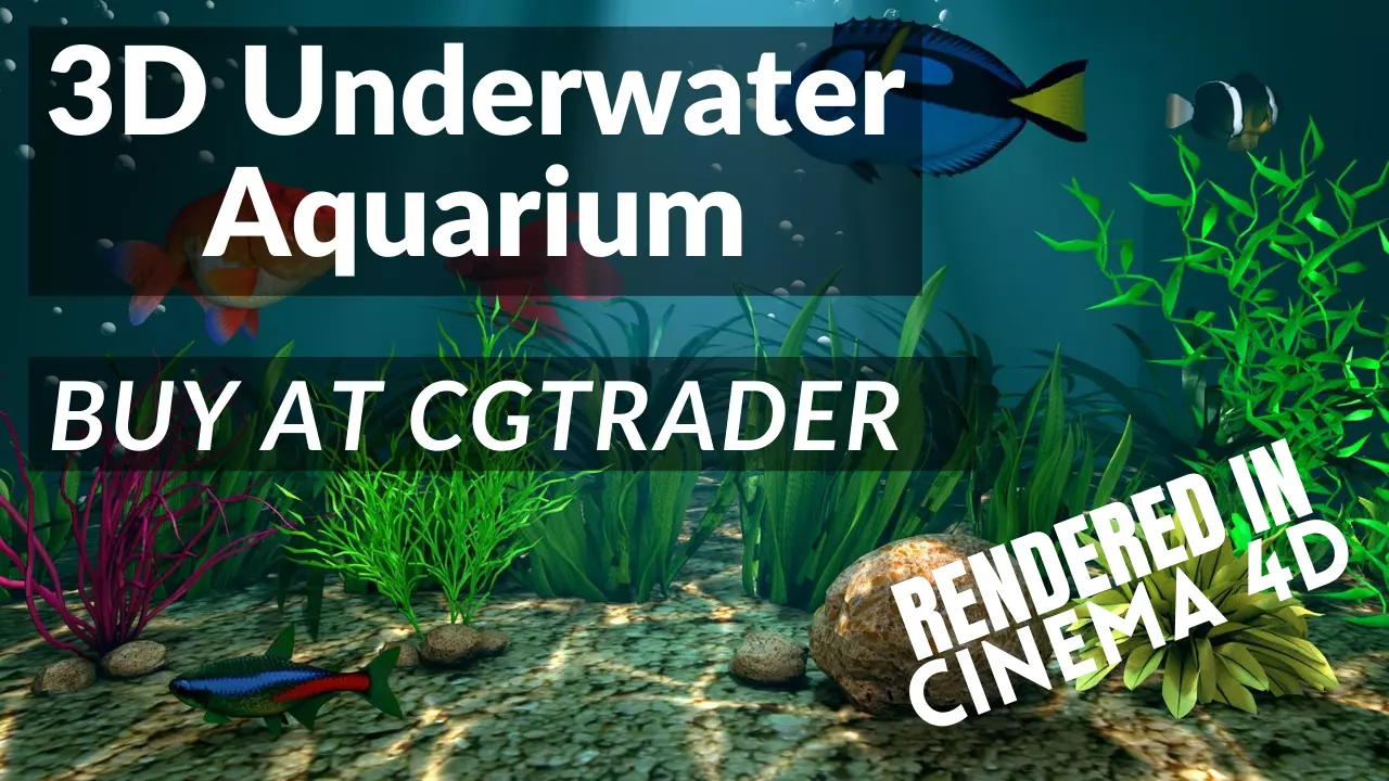 3D Underwater Fish Aquarium 3D model_0