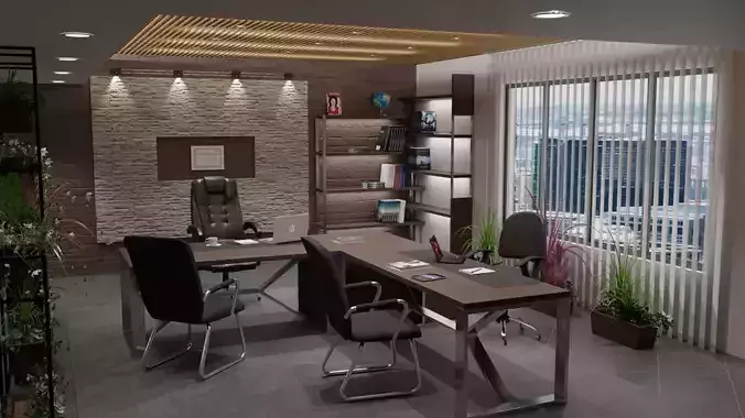 CEO Office 