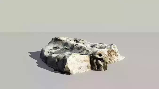 Fossile Whale Bone 3d Scan