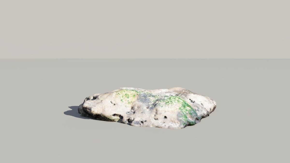Mossy Fossil Rock 3D Scanned Model 3D model_5