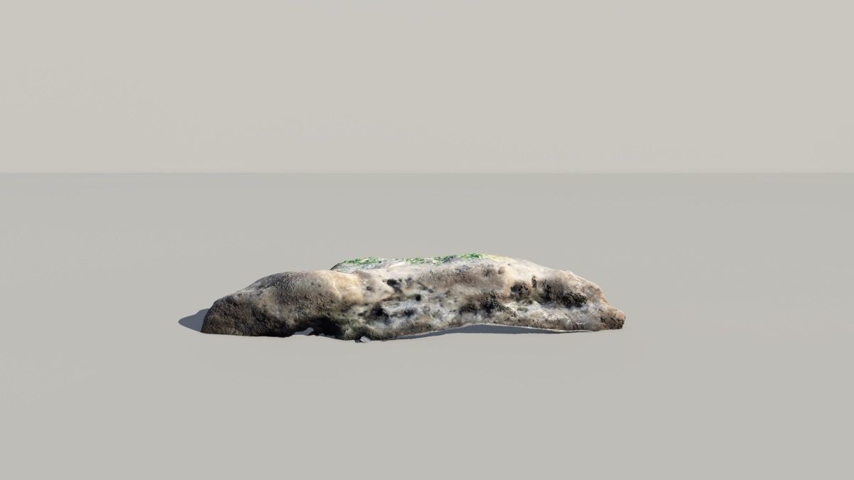 Mossy Fossil Rock 3D Scanned Model 3D model_3