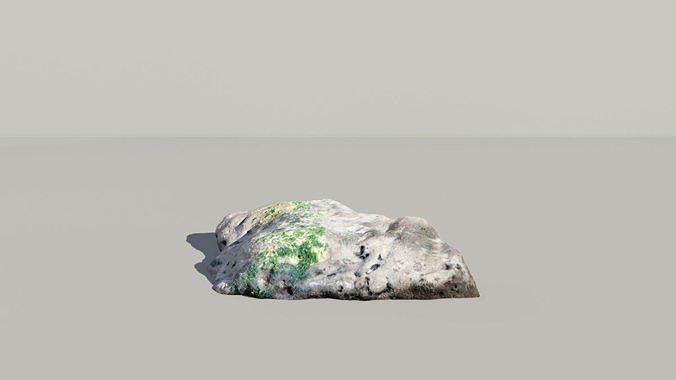 Mossy Fossil Rock 3D Scanned Model 3D model