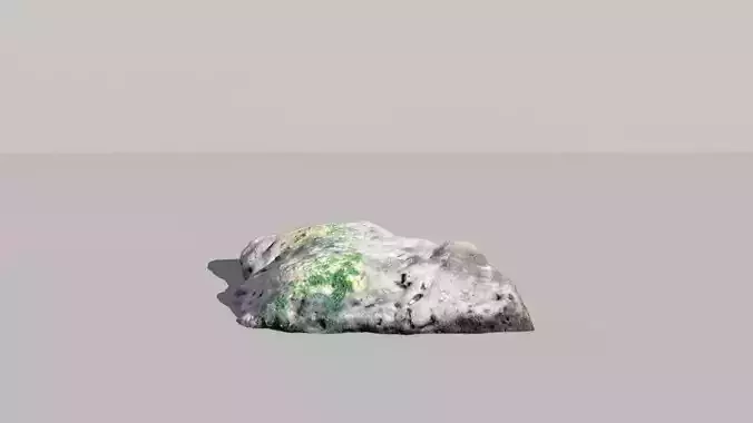Mossy Fossil Rock 3D Scanned Model 3D model