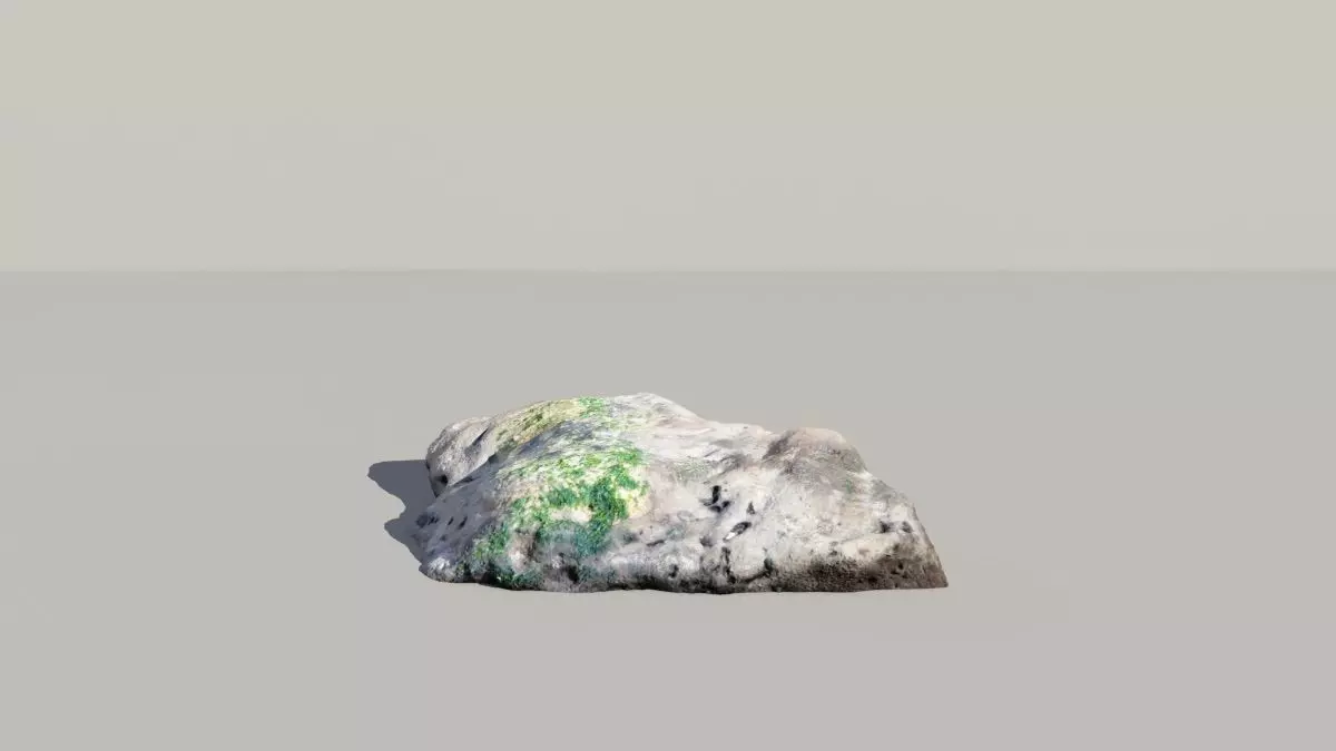 Mossy Fossil Rock 3D Scanned Model 3D model_0