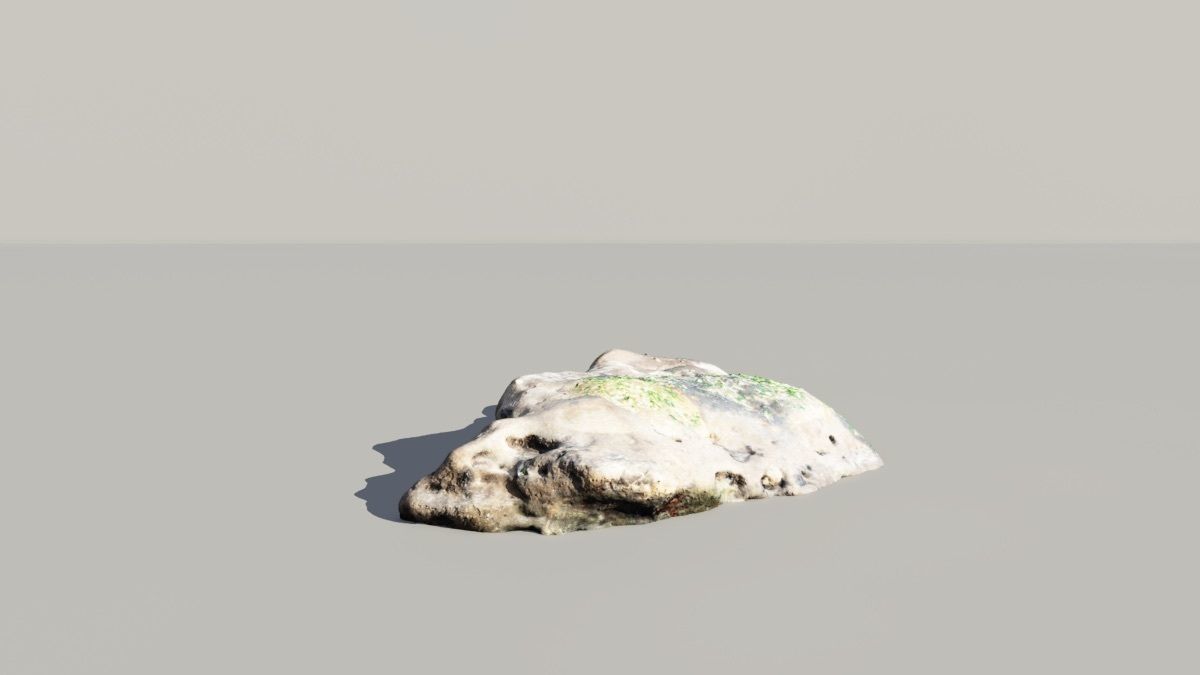 Mossy Fossil Rock 3D Scanned Model 3D model_4