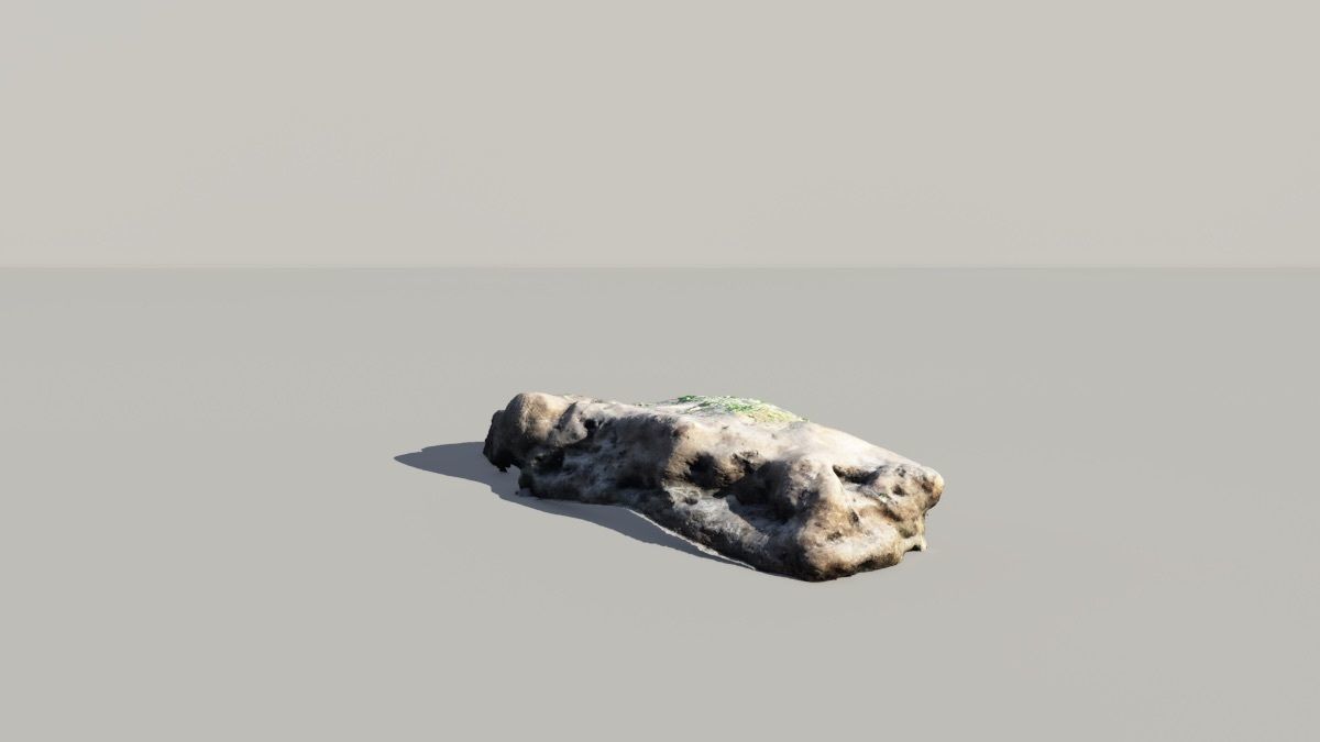 Mossy Fossil Rock 3D Scanned Model 3D model_2
