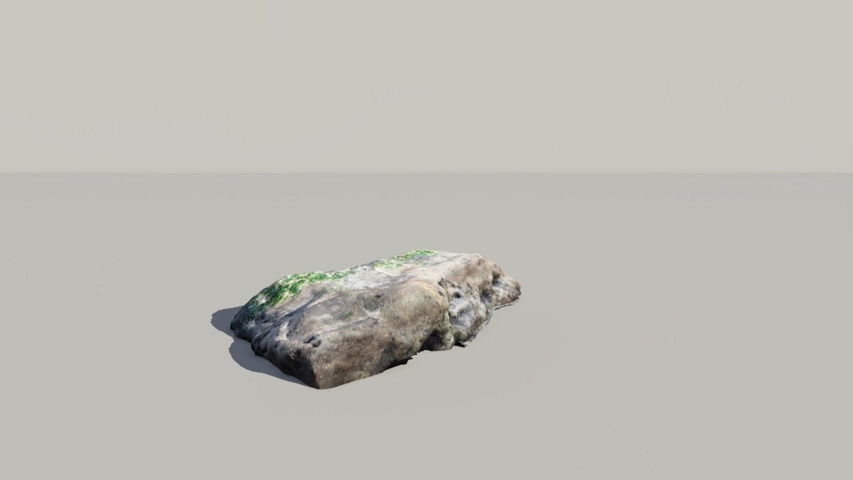Mossy Fossil Rock 3D Scanned Model 3D model_1