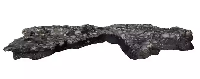 Shell Fossil 3d Scanned Model 3D model