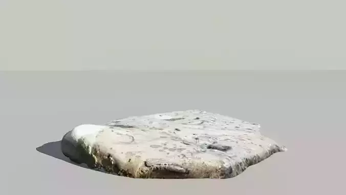 Whale Bone Fossil 3d Scanned Model