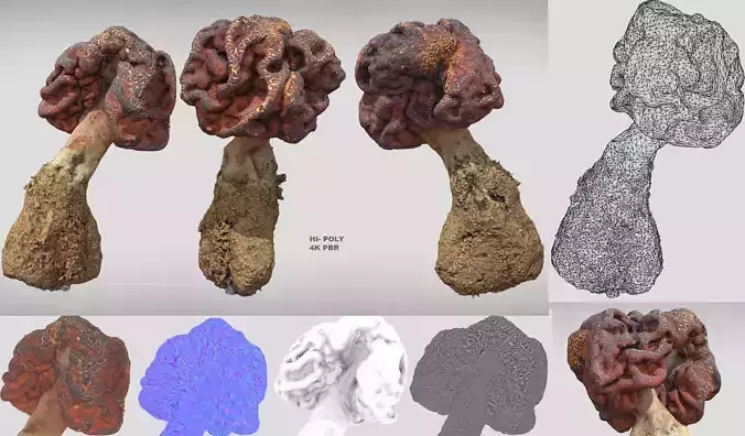photorealistic Gyromitra brain mushroom 3D model