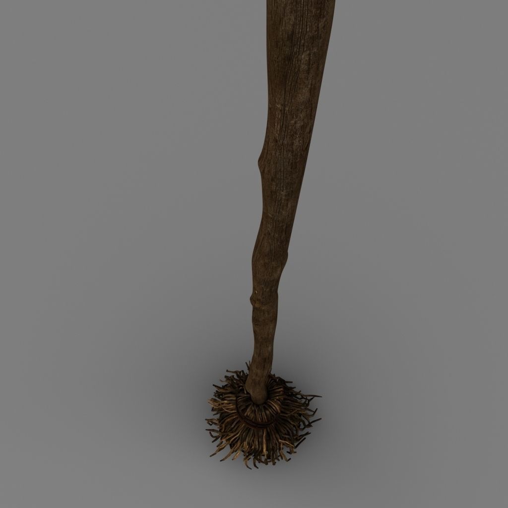 Broom 3D model_3