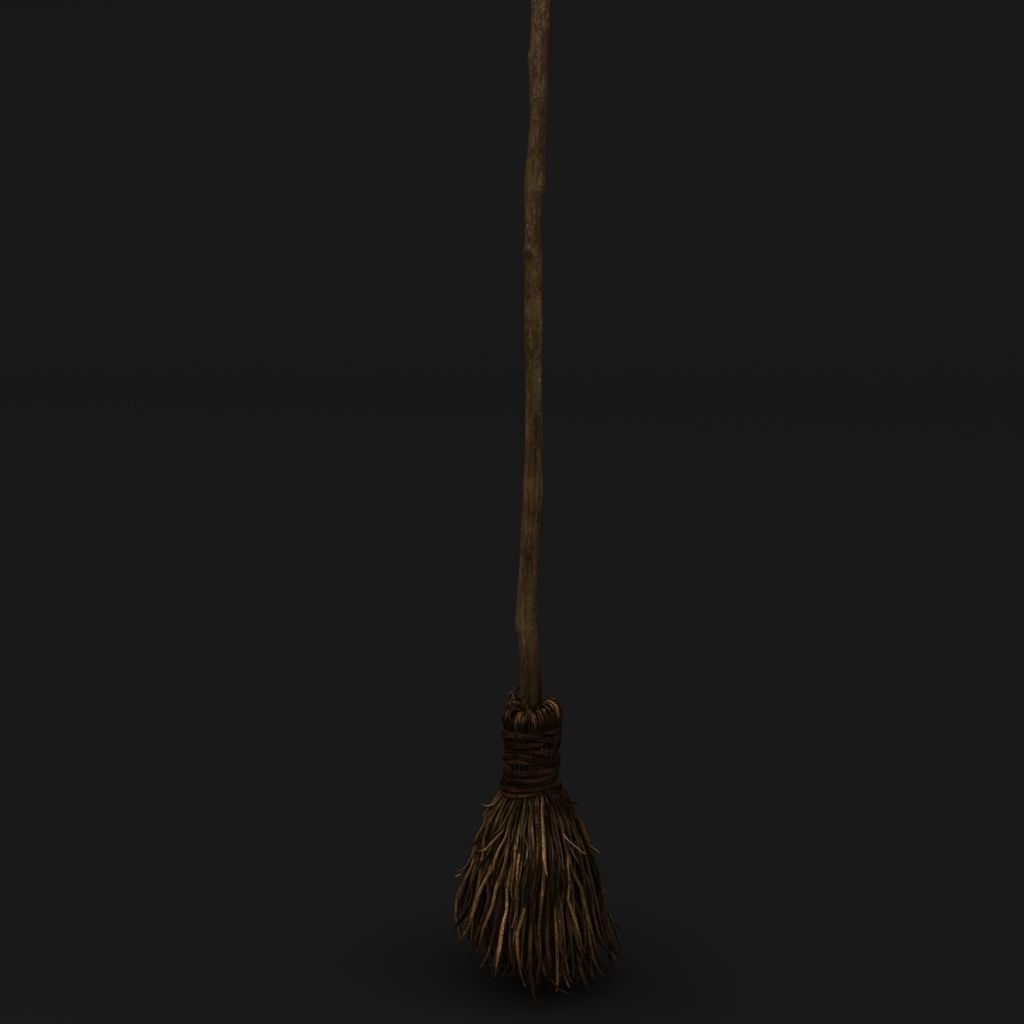 Broom 3D model_1