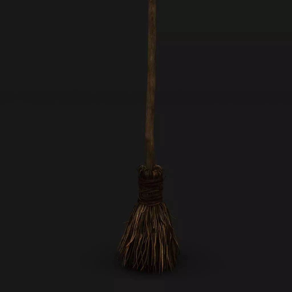 Broom 3D model_0