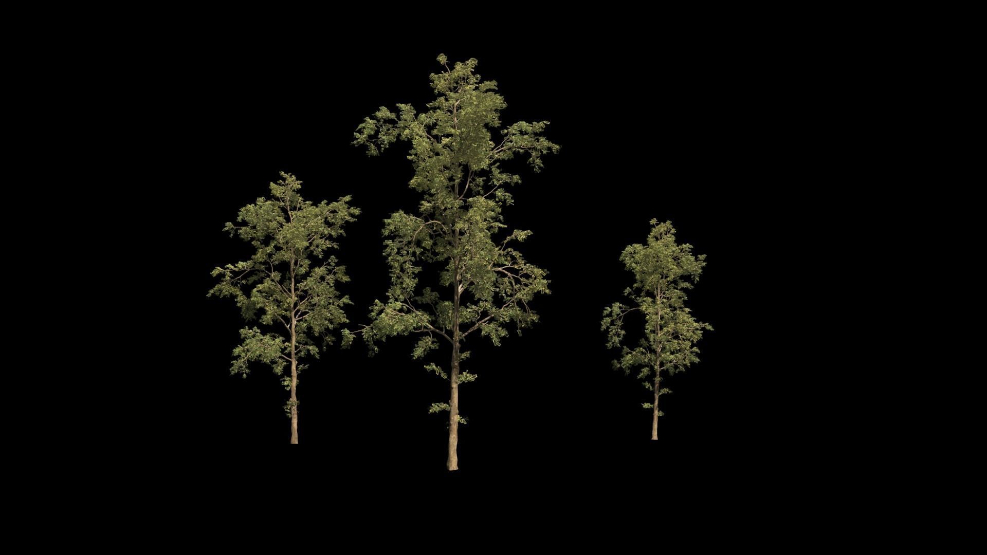Easy Tree Simple - High Quality 3D model_1